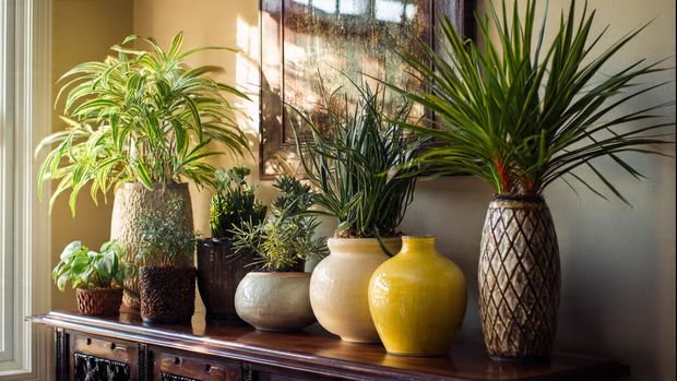 Modern Front Door Entryway Designs for a Welcoming Home